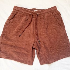 VSTR Premium Brown corduroy shorts